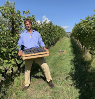 Bellora wines - Tenuta di Naiano - Bardolino Classico Le Barbere - 75CL